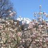 Mariazell_Weng_Admont_Ennstal_030